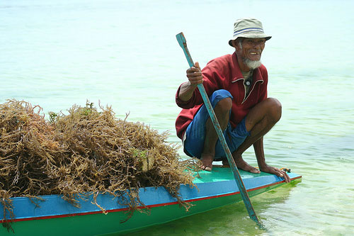 Sitangkai, Tawi Tawi