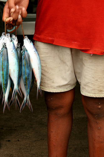 Sitangkai, Tawi Tawi