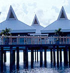 Palawan Hotels
