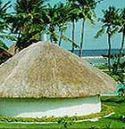 Cebu Hotels