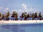 Cebu Hotels