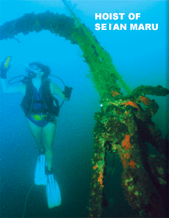 Subic Bay Diving